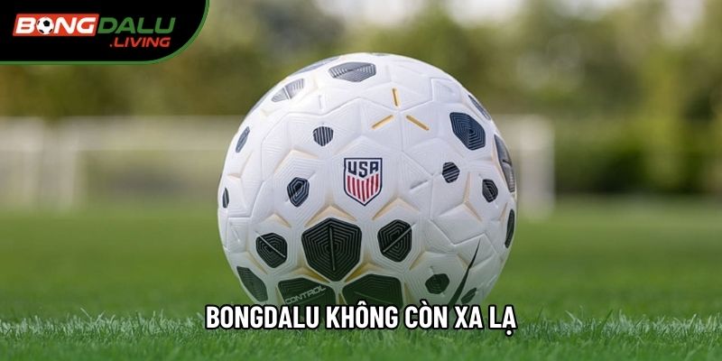 Bongdalu không còn xa lạ