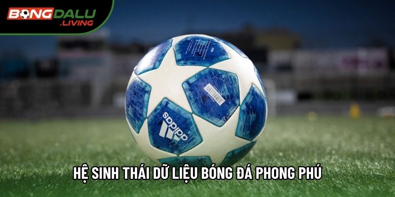 Hệ sinh thái dữ liệu bóng đá phong phú