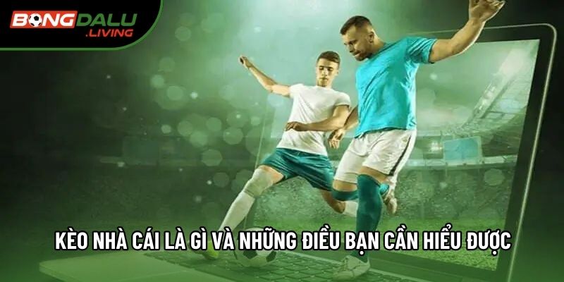 Kèo nhà cái là gì và những điều bạn cần hiểu được Kèo nhà cái là gì và những điều bạn cần hiểu được
