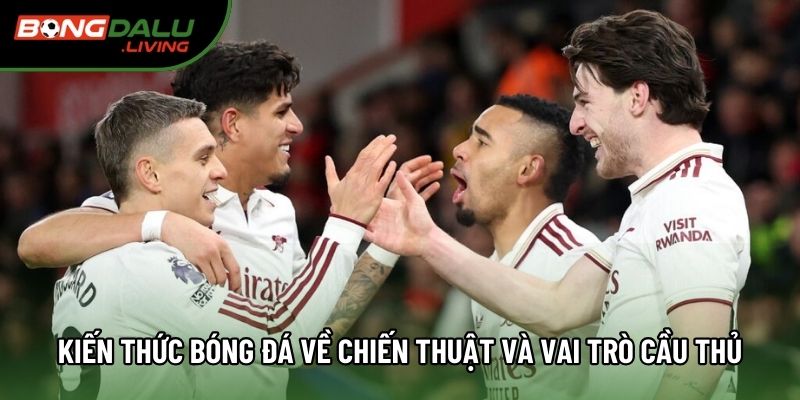 Kiến thức bóng đá về chiến thuật và vai trò cầu thủ