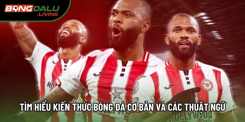 Tìm hiểu kiến thức bóng đá cơ bản và các thuật ngữ