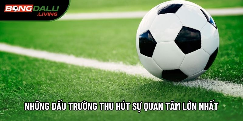 Những đấu trường thu hút sự quan tâm lớn nhất