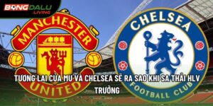 Tương Lai Của MU Và Chelsea Sẽ Ra Sao Khi Sa Thải HLV Trưởng